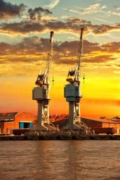 The cranes at sunset Stock Photos
