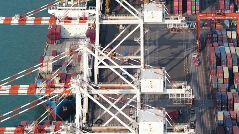 Cranes unloading cargo container ship at port terminal Vídeo Stock 333656375