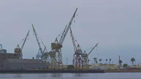Cranes at a Waterside Shipyard with Palm Trees Видео 323342964