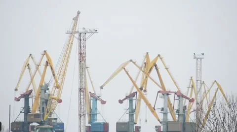 Cranes working at the port. Video stock 45277920