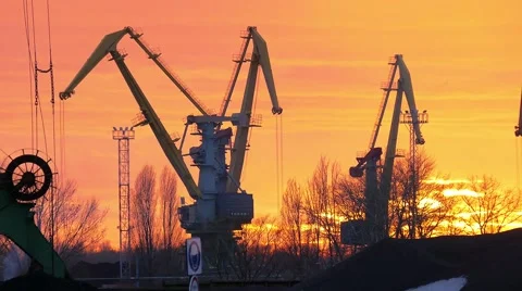 Cranes working at the port Video stock 60798915