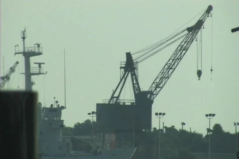 Cranewater Video stock 78108