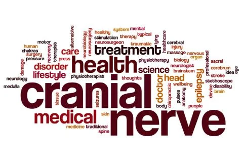 Cranial nerve word cloud Stock Illustration