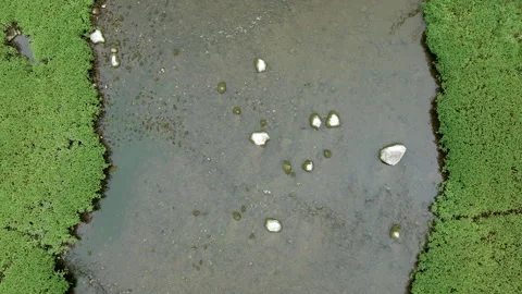 Craning up over river Stock Footage 284750845