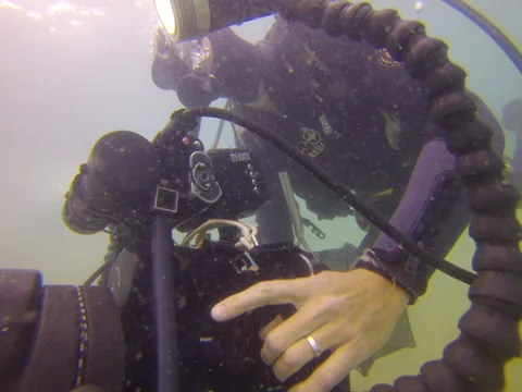 Crap visibility, lots of large suspended particles, continues on from 34830, Stock Footage 61931852