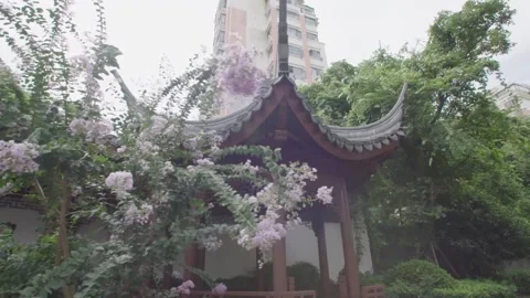 crape myrtle beside the gazebo | Stock Video | Pond5
