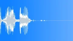 Crash Glass Break Handheld Sound Effect
