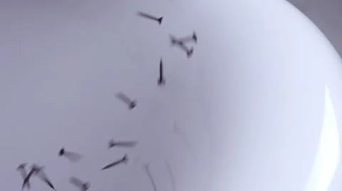 Crash test of the bath in slow motion Stock Footage 67859067