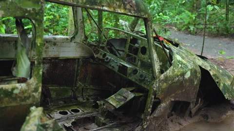 Crashed airplane wreckage abandoned in jungle for over 40 years with moss. Stock Footage 338360852
