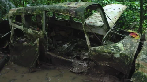 Crashed airplane wreckage abandoned in jungle for over 40 years covered in moss. Stock Footage 338364606