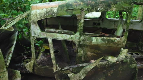 Crashed airplane wreckage in jungle over 40 years ago covered in moss and decay. Stock Footage 338375813