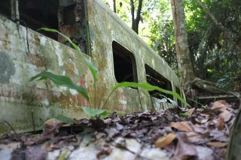 Crashed overgrown plane in Amazon jungle rainforest Stock Photos