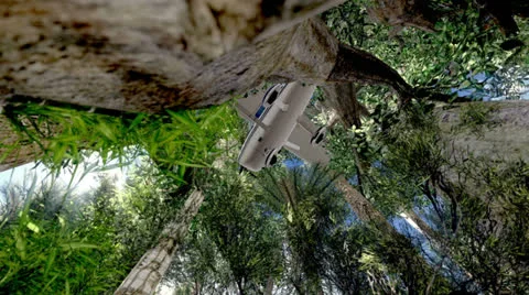 Crashed plane in the trees Stock Footage 24510785