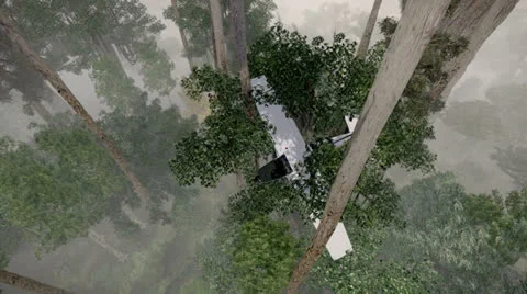 Crashed plane in the trees Stock Footage 24512467