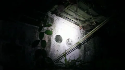 A crashed Russian Airplane is discovered in the Peruvian Amazon jungle! Stock Footage 10955856