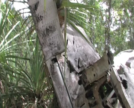 Crashed WW2 Beaufort 3- Cape York- Australia Stock Footage 8578284