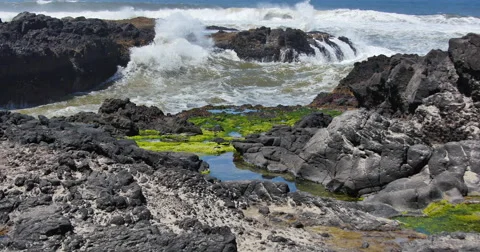 Crashing Oregon Coast Waves Stock Footage 40973320