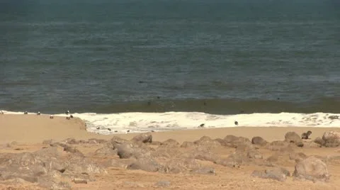 Crashing waves Stock Footage 12146318