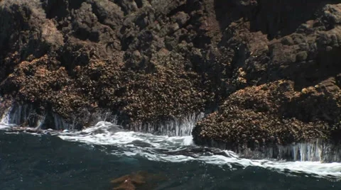 Crashing waves on rocks  스톡 동영상 38317246