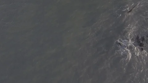 Crashing Waves on Rocks From Ocean Drone D-Log 库存影片 89920591