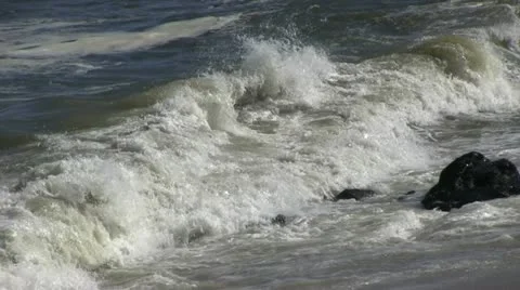 Crashing waves with seals Stock Footage 12146308