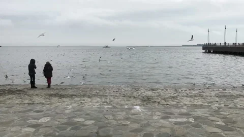 Cratch 動画素材 86795616