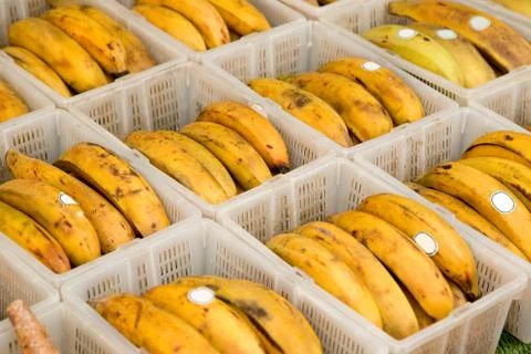 Crate of banana's Stock Photos