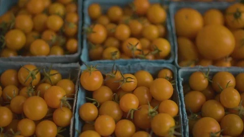 Crate filled with cherry tomatoes Stock Footage 87804082