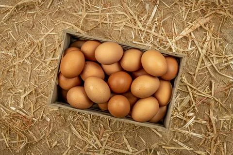 Crate of fresh eggs on burlap Stock Photos