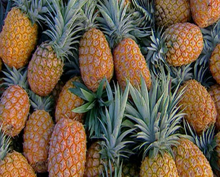 A crate of freshly picked pineapples, Bathhurst - Pi Stock Footage 36359427