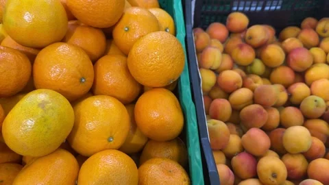 A crate full of fresh, bright oranges sits next to a bin of ripe apricots Stock Footage 311649190