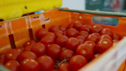 A crate full of red tomatoes Stock Footage 297844219