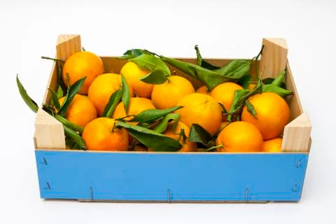 Crate with manderins Stock Photos