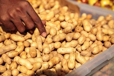 Crate of organic peanuts still in a shell Stock Photos
