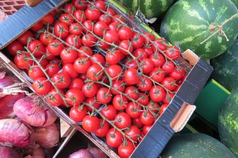 A crate of small red tomatoes Stock Photos
