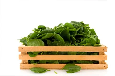 Crate with spinach Stock Photos