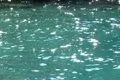 Crater Lake High Speed 120fps 10 Slow Motion Boat Shot Water Surface Reflecti Footage