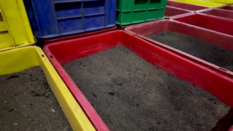 Crates filled with tea leaves inside a tea processing factory. The crates Stock Footage 288212370