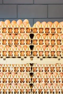 Crates with fresh eggs in front of a grey wall Stock-Fotos