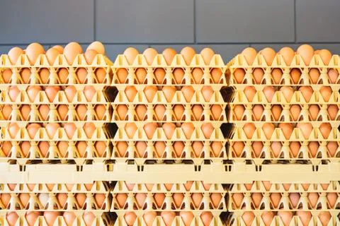 Crates with fresh eggs in front of a grey wall Stock Photos
