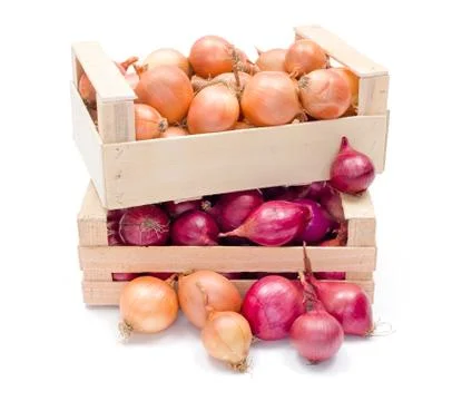 Crates with onions Stock Photos