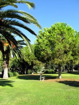 Craving the shade Stock Photos