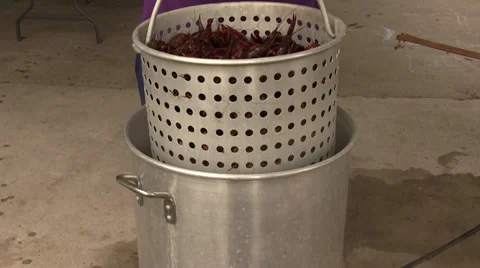 Crawfish being lowered into boiling pot Video stock 37863748