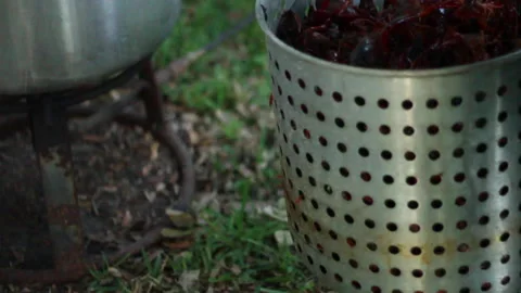Crawfish boil going in to a boiling pot Stock Footage 130581282