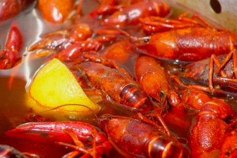 Crawfish Boil Stock Photos