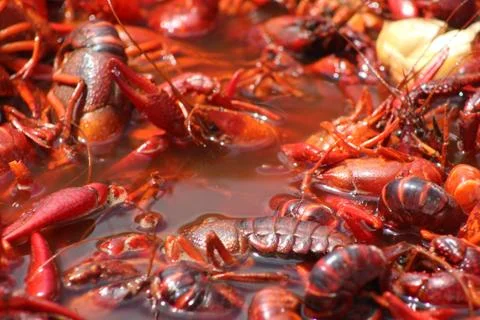 Crawfish Boil Stock Photos