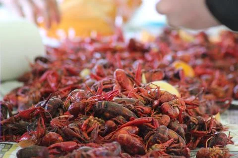 Crawfish Boil Stock Photos