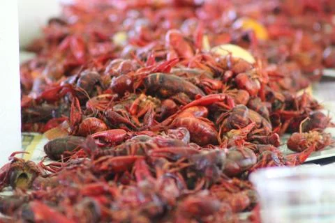 Crawfish Boil Stock Photos