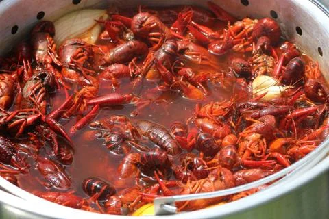 Crawfish Boil Stock Photos