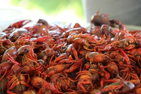 Crawfish Boil Stock Photos